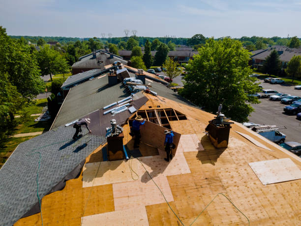 Quick and Trustworthy Emergency Roof Repair Services in Cherry Branch, NC