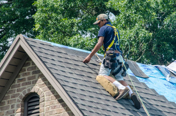 Best Roof Maintenance Services  in Cherry Brah, NC
